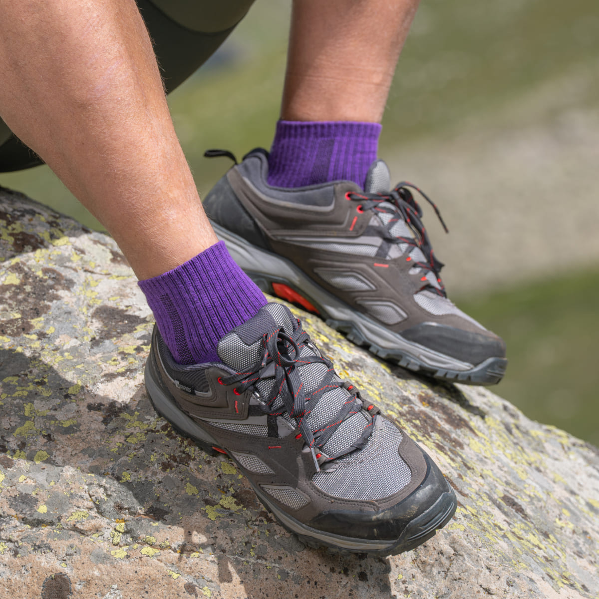 Hiking - Purple Low-Cut (1 pair)
