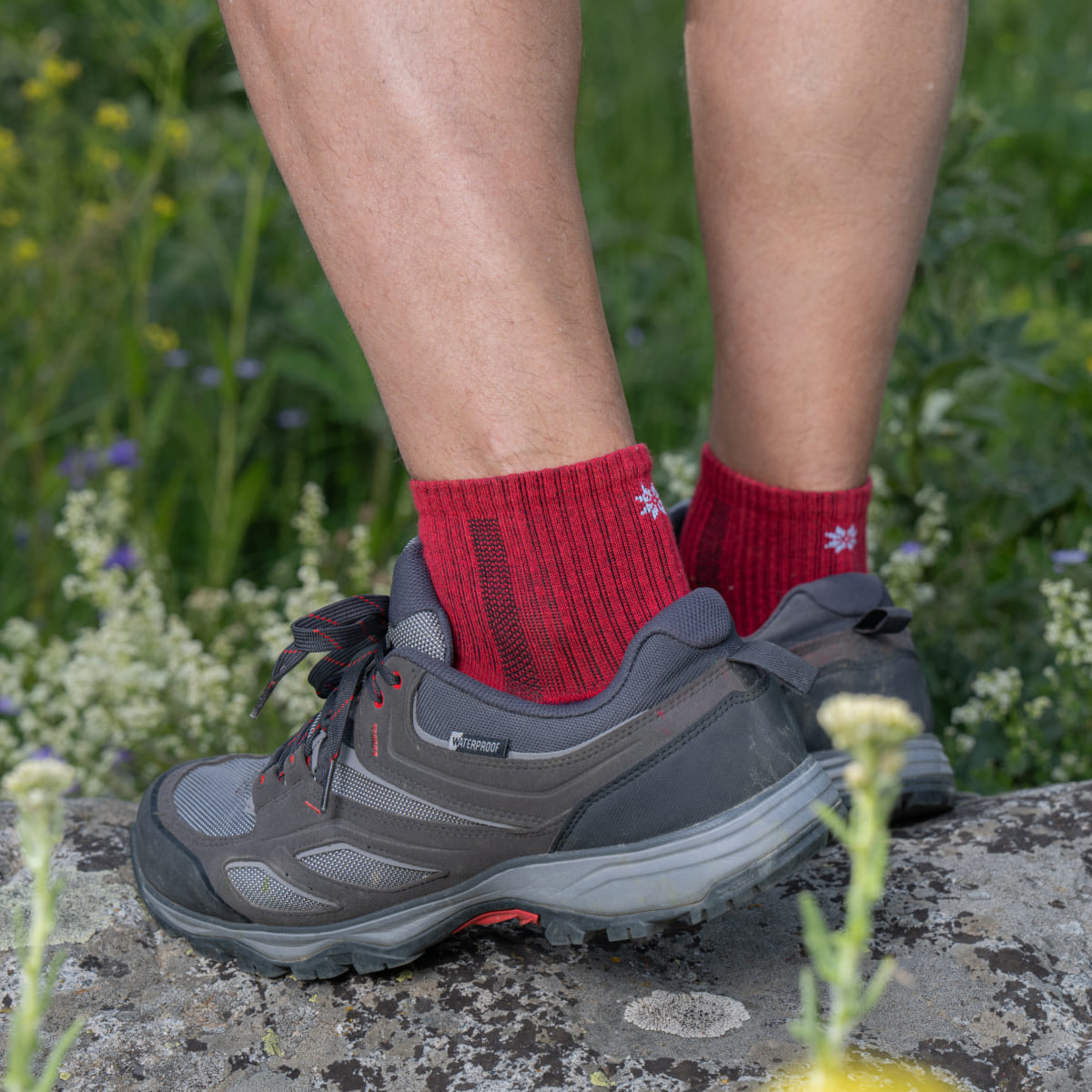 Hiking - Red Low-Cut (1 pair)